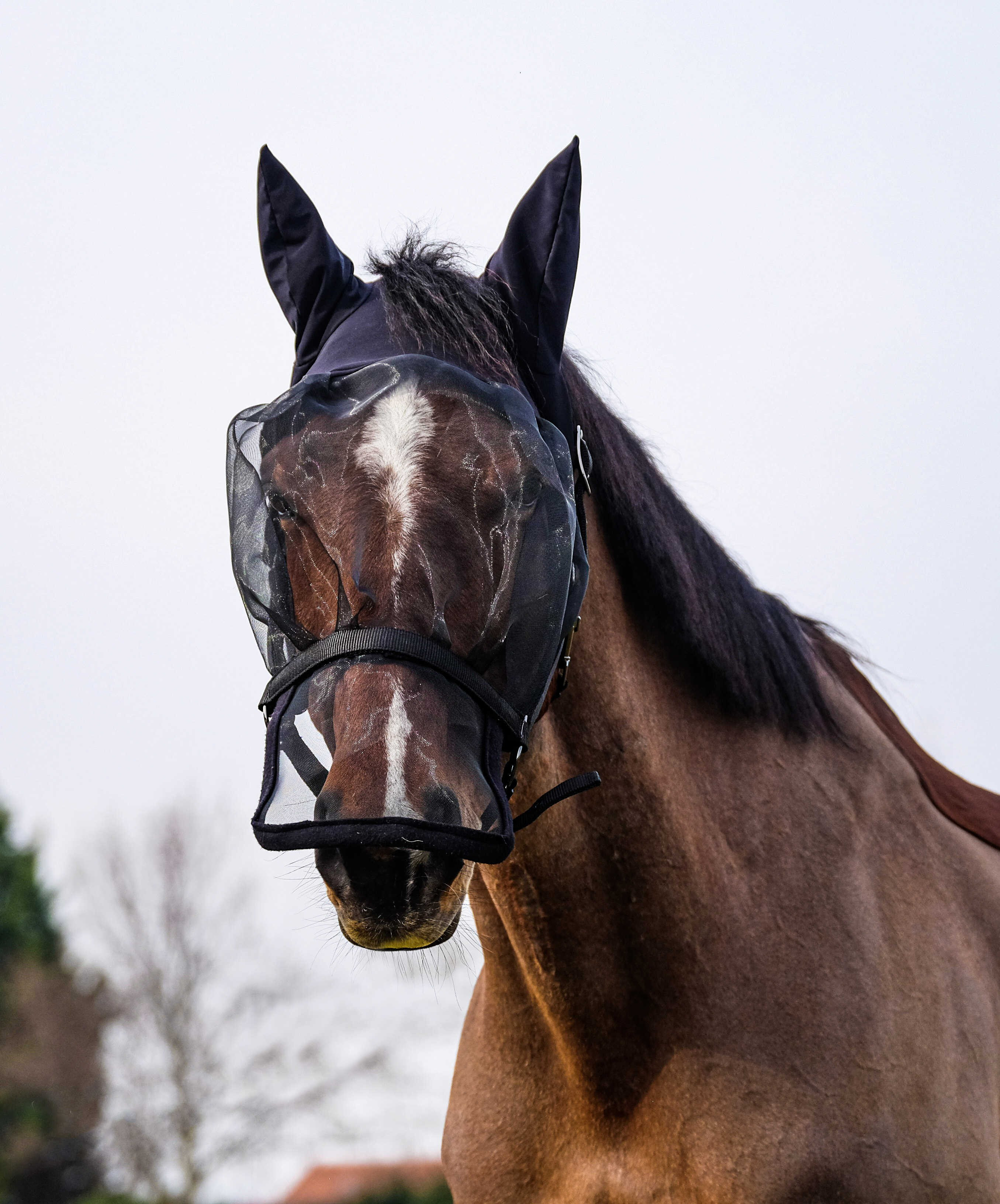 Caveção + máscara anti-UV Equithème Preto Caveção + máscara anti-UV Equithème Preto