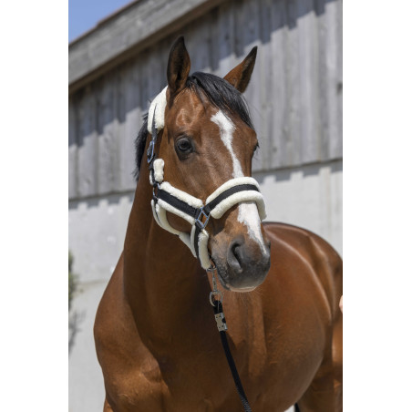 Caveção Norton Cosy