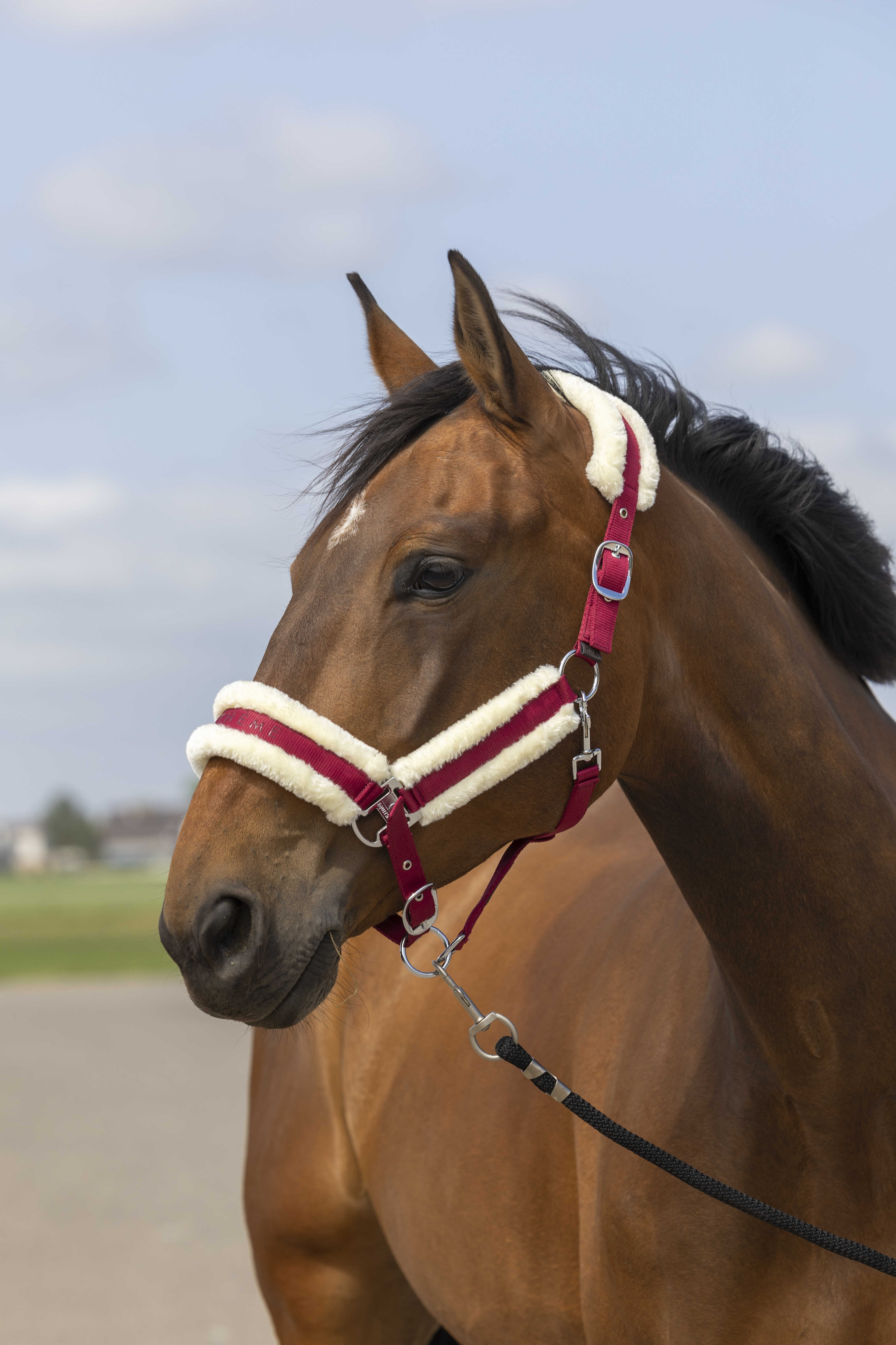 Caveção Equithème Nylon Lã Bordô / branco Bordô Caveção Equithème Nylon Lã Bordô / branco Bordô