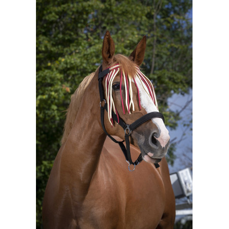 Frontal caça-moscas Norton