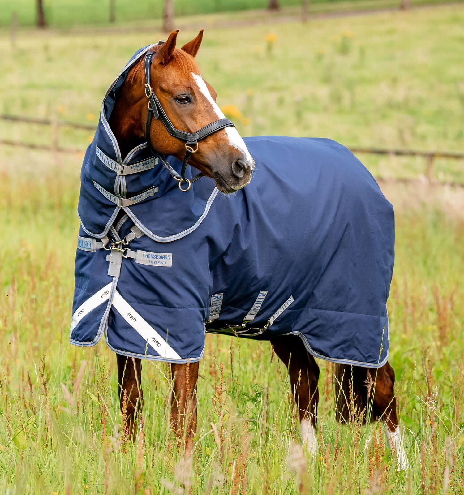 Cobertor Horseware Rhino Plus Turnout lite 100 g Marinho / cinza titânio / azul clássico Azul-marinho Cobertor Horseware Rhino Plus Turnout lite 100 g Marinho / cinza titânio / azul clássico Azul-marinho