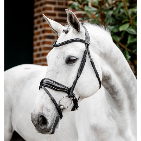 Bridão Horseware Diamante com Flasheur