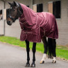 Capa de paddock Imperial Riding Basic com pescoço removível 400 g - Vermelho profundo