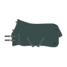 Capa de paddock Imperial Riding Basic sem pescoço 200 g - Verde