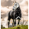 Manta Horseware Rhino Turnout Poney Bundle com liner 0g e 200g - Xadrez preto / preto e branco