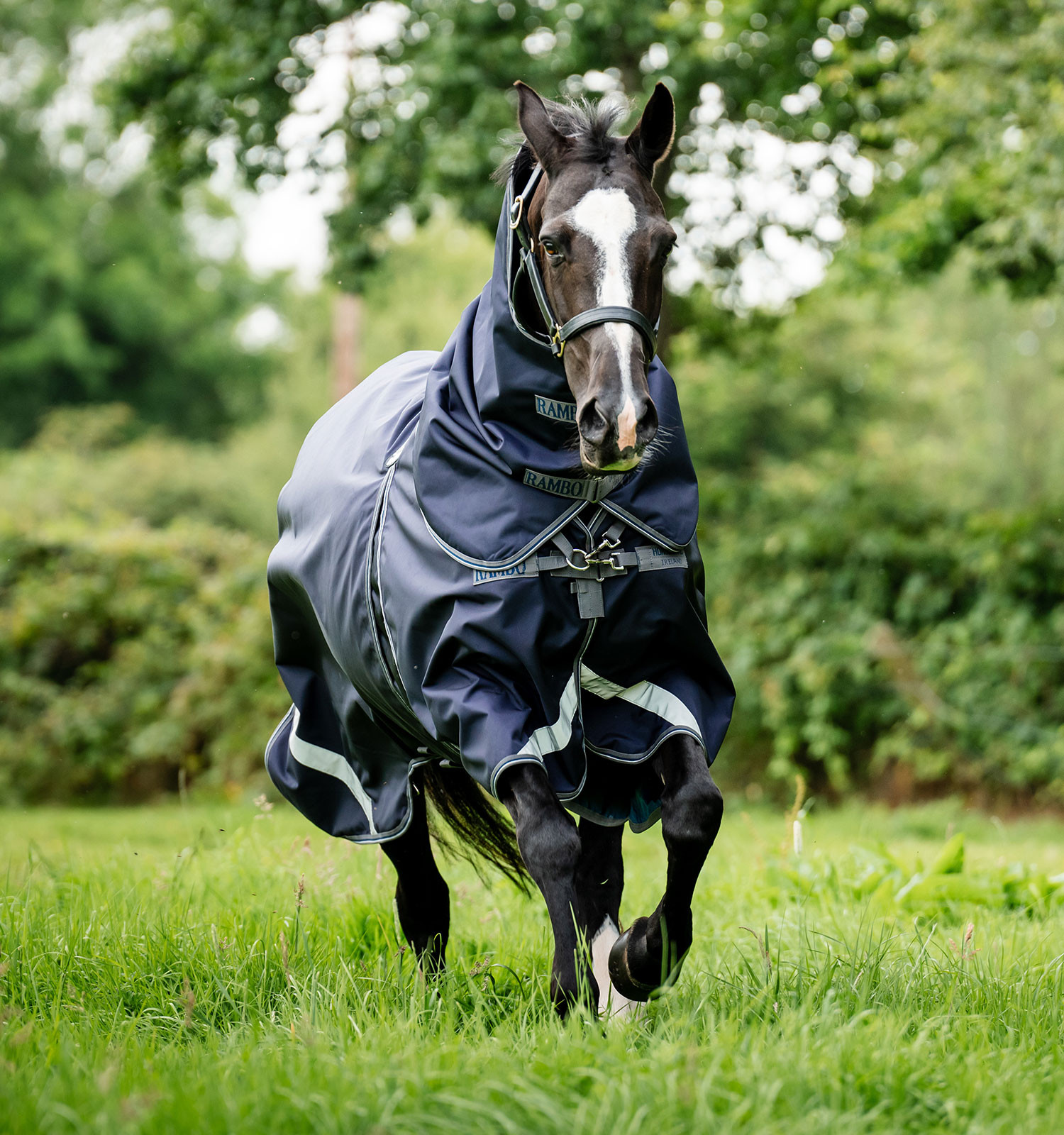 Cobertura Horseware Rambo Optimo Bundle 0g + Liner 200g Marinho / bordô Azul Cobertura Horseware Rambo Optimo Bundle 0g + Liner 200g Marinho / bordô Azul