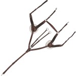 Peitoral Canter 5 pontos