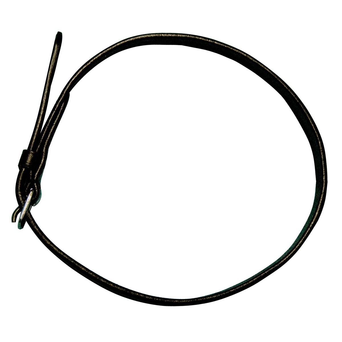Tiras de esporas o par Chetak Tiras de esporas o par Chetak