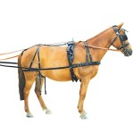 Arnês continental Chetak