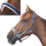 Cabo de cabeça de couro forrado Chetak