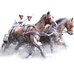 Arnês MARATHON anatômico duplo Eric Le Tixerant