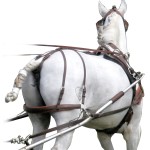 Recuo MARATHON Eric Le Tixerant