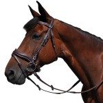 Bridão Flags & Cup Copenhaga