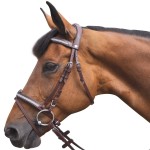 Bandeirolas Bridon & Kit de Copos Kitsi