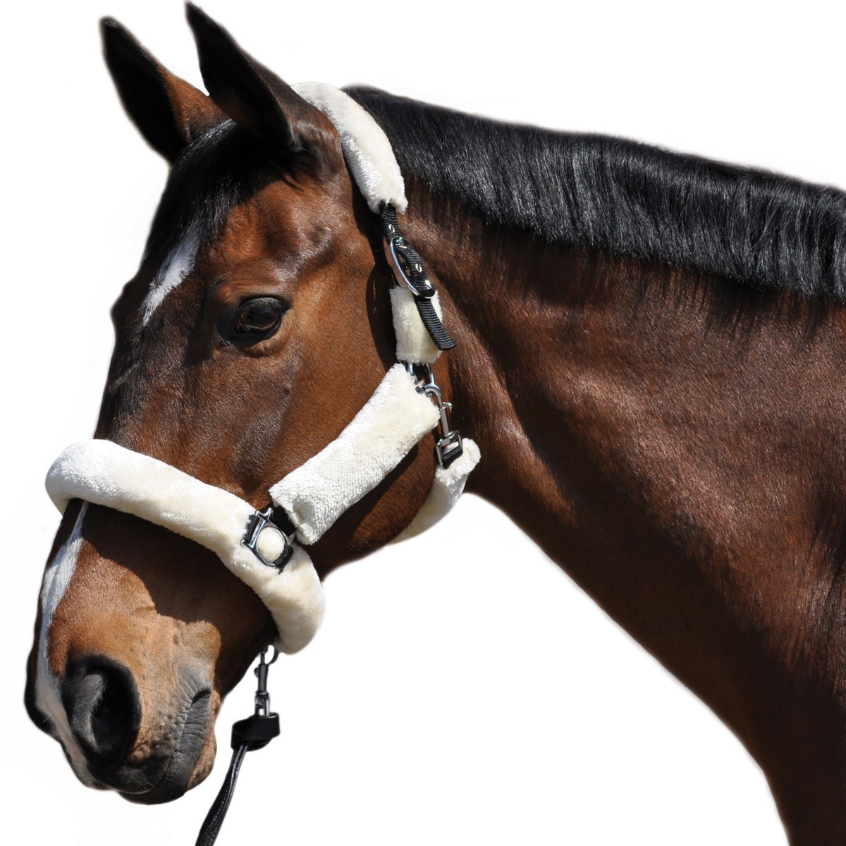 Cabresto de Transporte Flags & Cup Natural Castanho Cabresto de Transporte Flags & Cup Natural Castanho