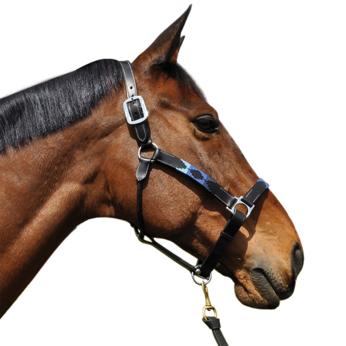 Licol Flags & Cup Chukka Moka / choco / taupe