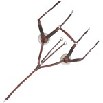 Peitoral de 5 pontos Lexington