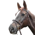 Bridon Privilégio Equitação Biarritz combinado