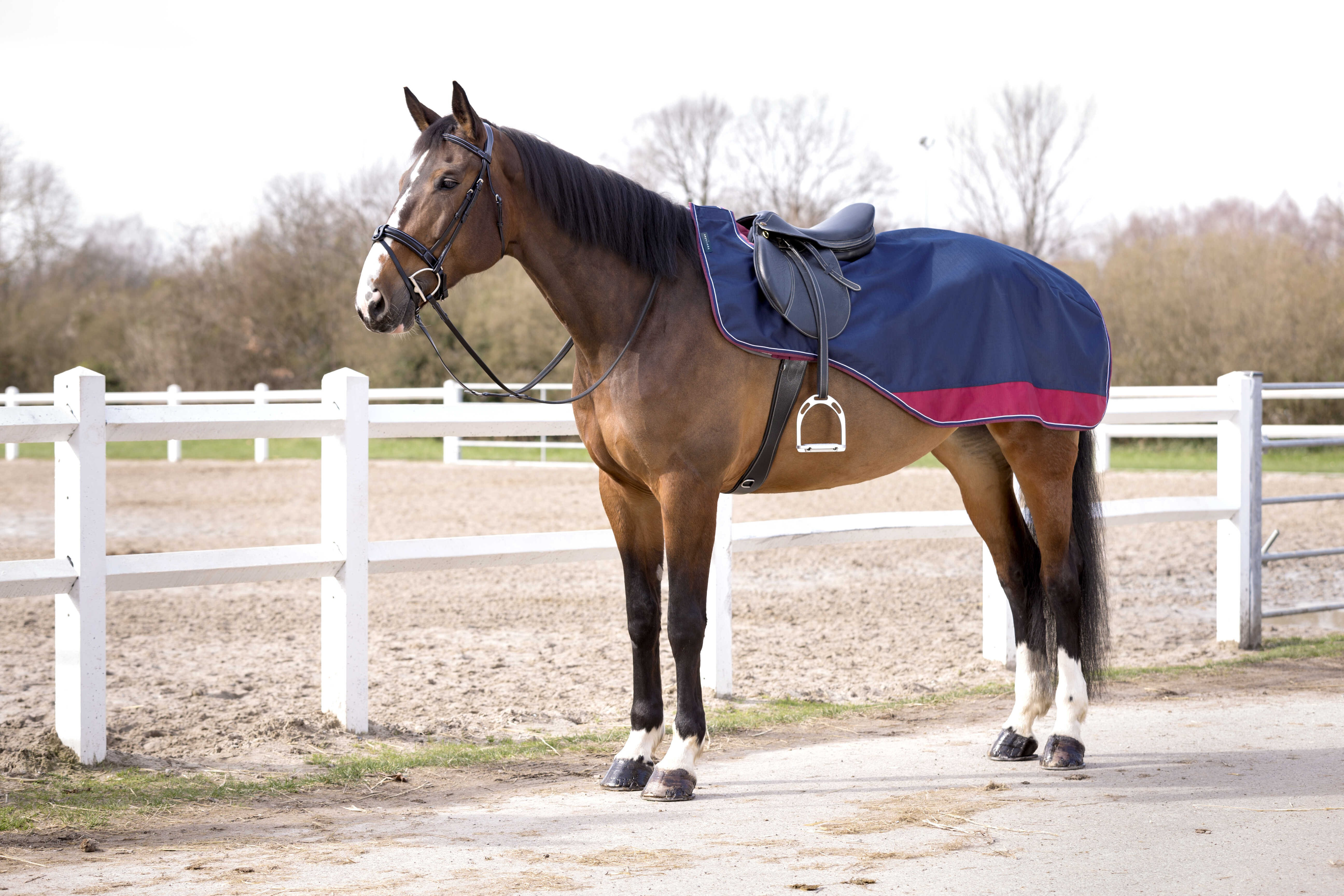 Cobre-rins Equithème Tyrex 1200D forrado com polar