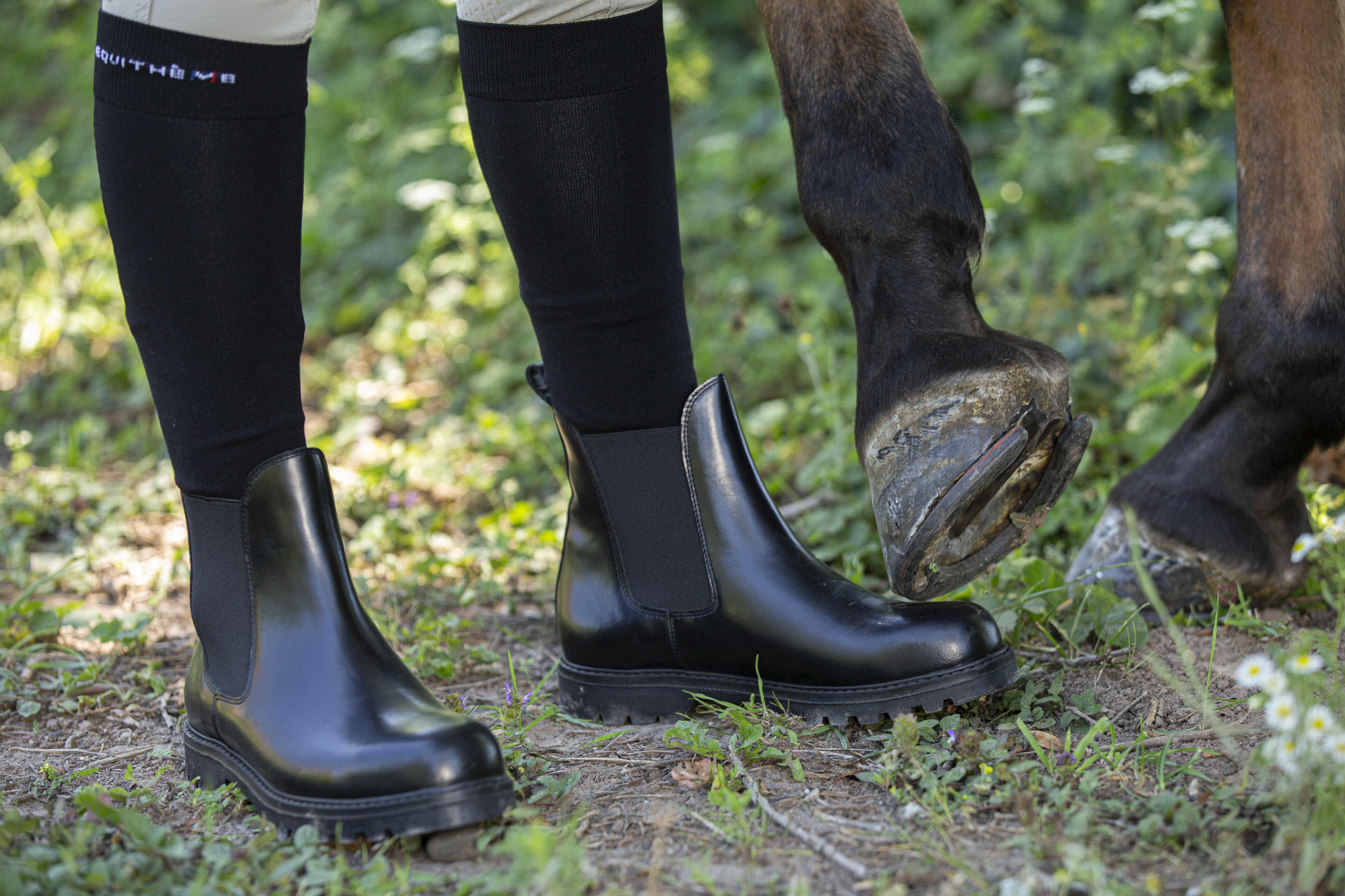 Botas Norton Safety Preto Botas Norton Safety Preto