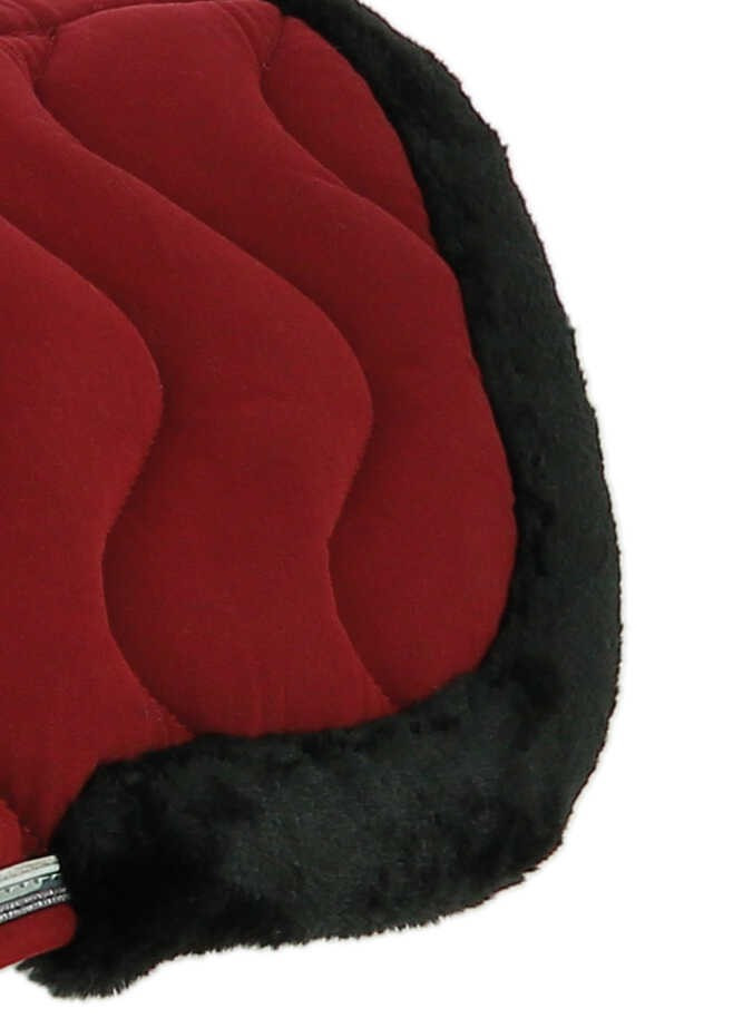 Amortecedor de dorso Equithème Jump Pro Branco / branco brilhante