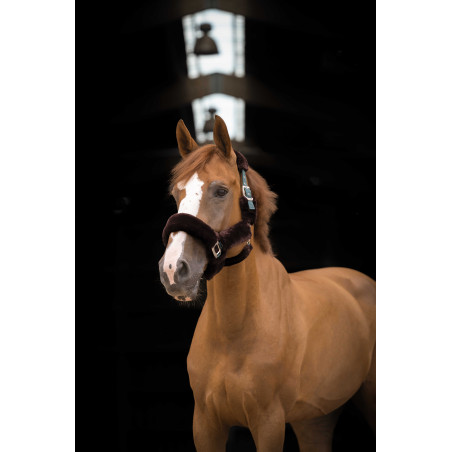 Caveção Equithème Teddy