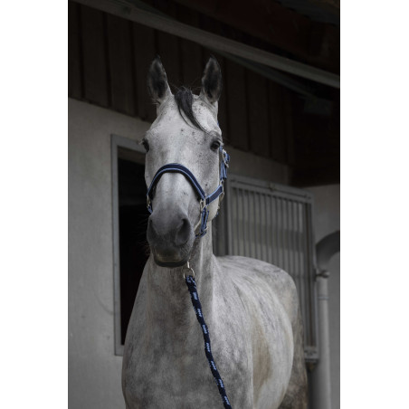 Caveção + guia Equitheme Satinado