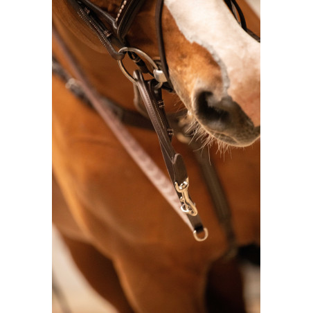 Enrêno Pénélope Howlett