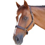 Caveção Privilege Equitation La Baule