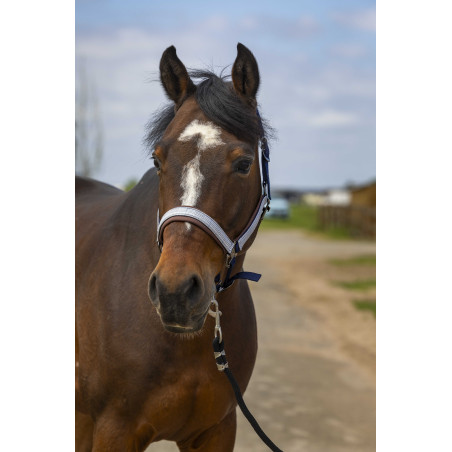 Caveção Equithème Nylon Check