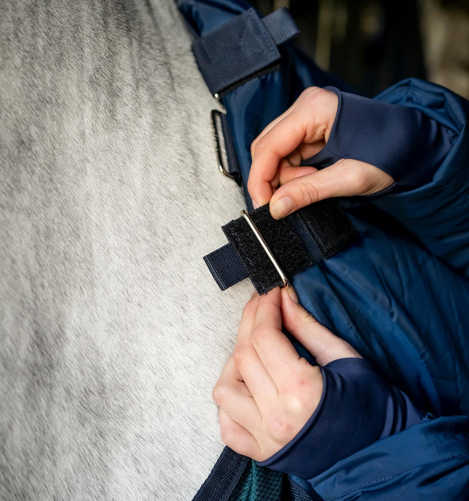 Cobertura de estábulo Horseware Amigo Ripstop Insulator 50g Dinastia verde / marinho / prateado