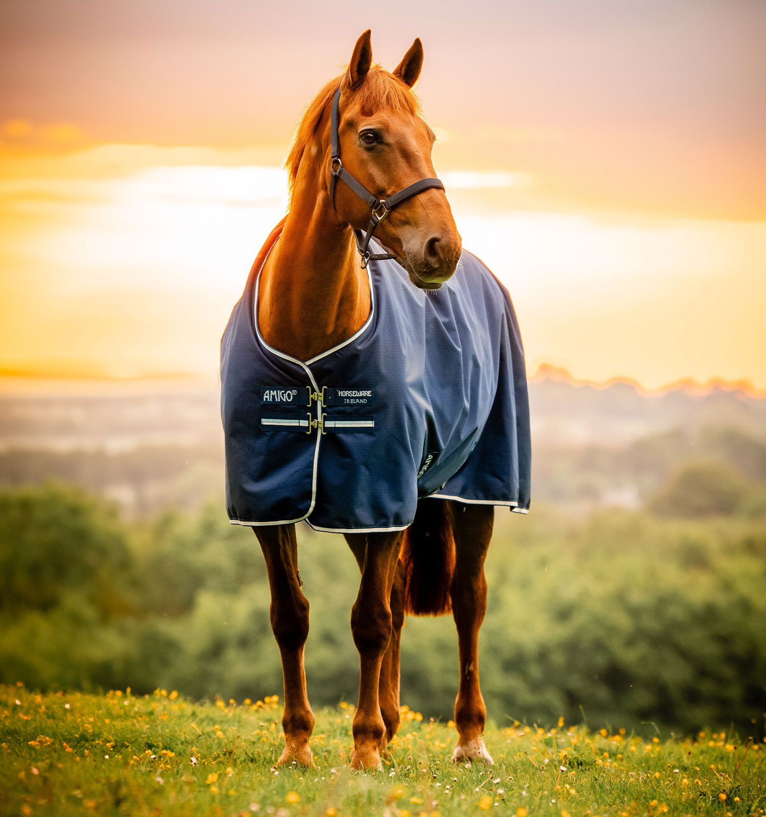 Capa Amigo Ripstop Horseware 900D Turnout forrada com polar 50g Marinho / cinza titânio Azul-marinho