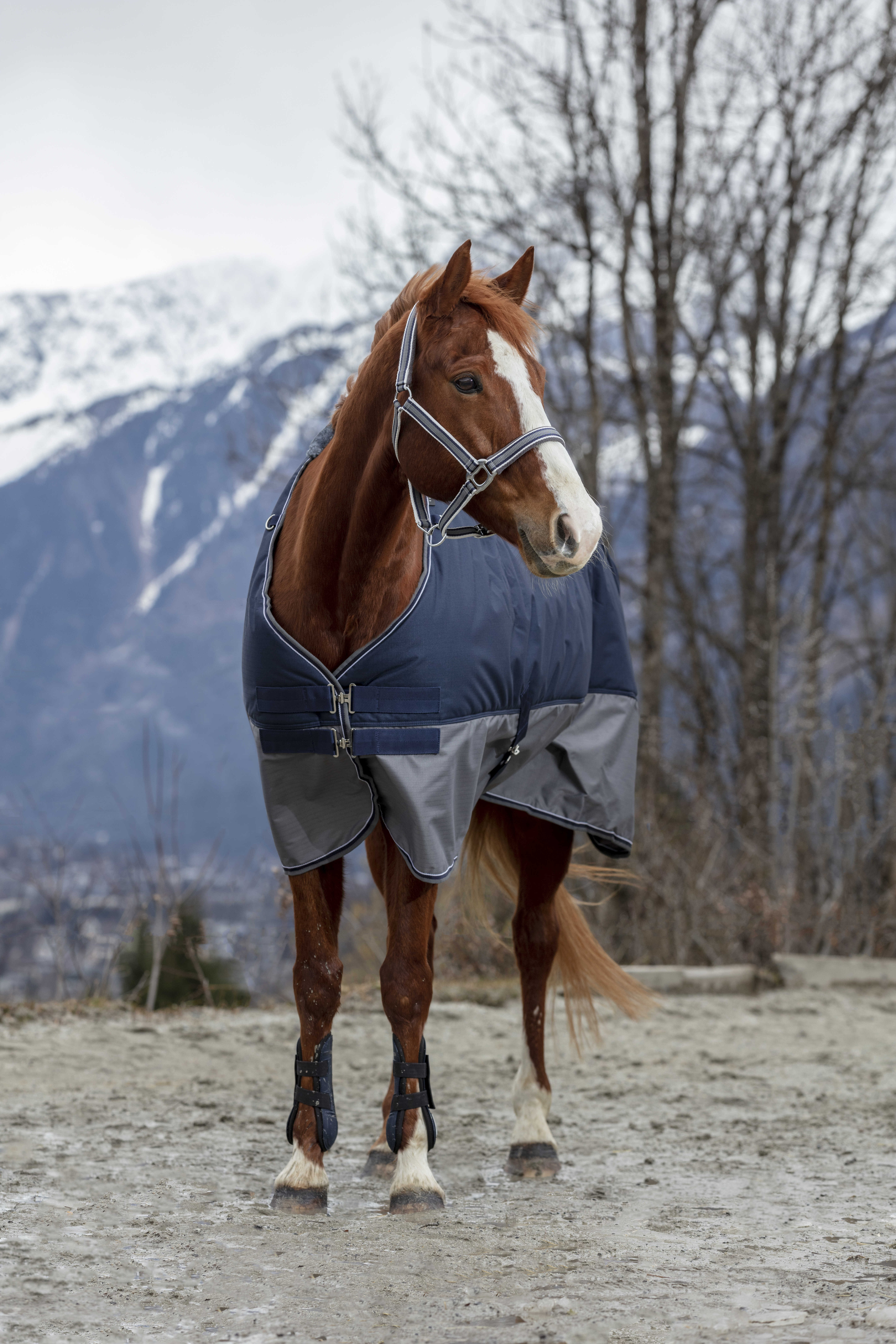 Cobertura Equithème Tyrex 600 D 50g Marinho / cinza Azul Cobertura Equithème Tyrex 600 D 50g Marinho / cinza Azul