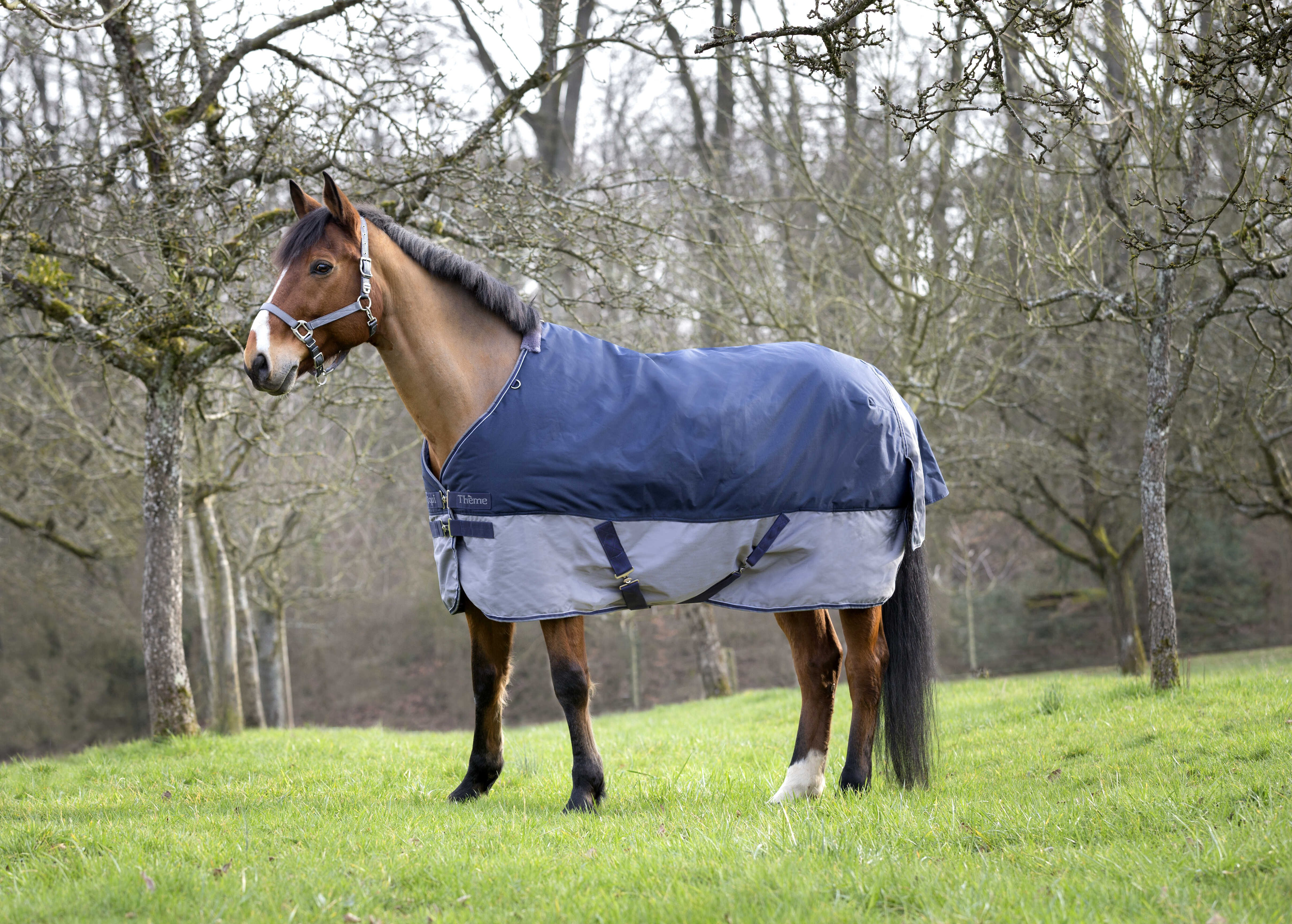 Cobertura Equithème Tyrex 600 D 50g Marinho / cinza Azul Cobertura Equithème Tyrex 600 D 50g Marinho / cinza Azul