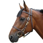 Caveção grande Canter