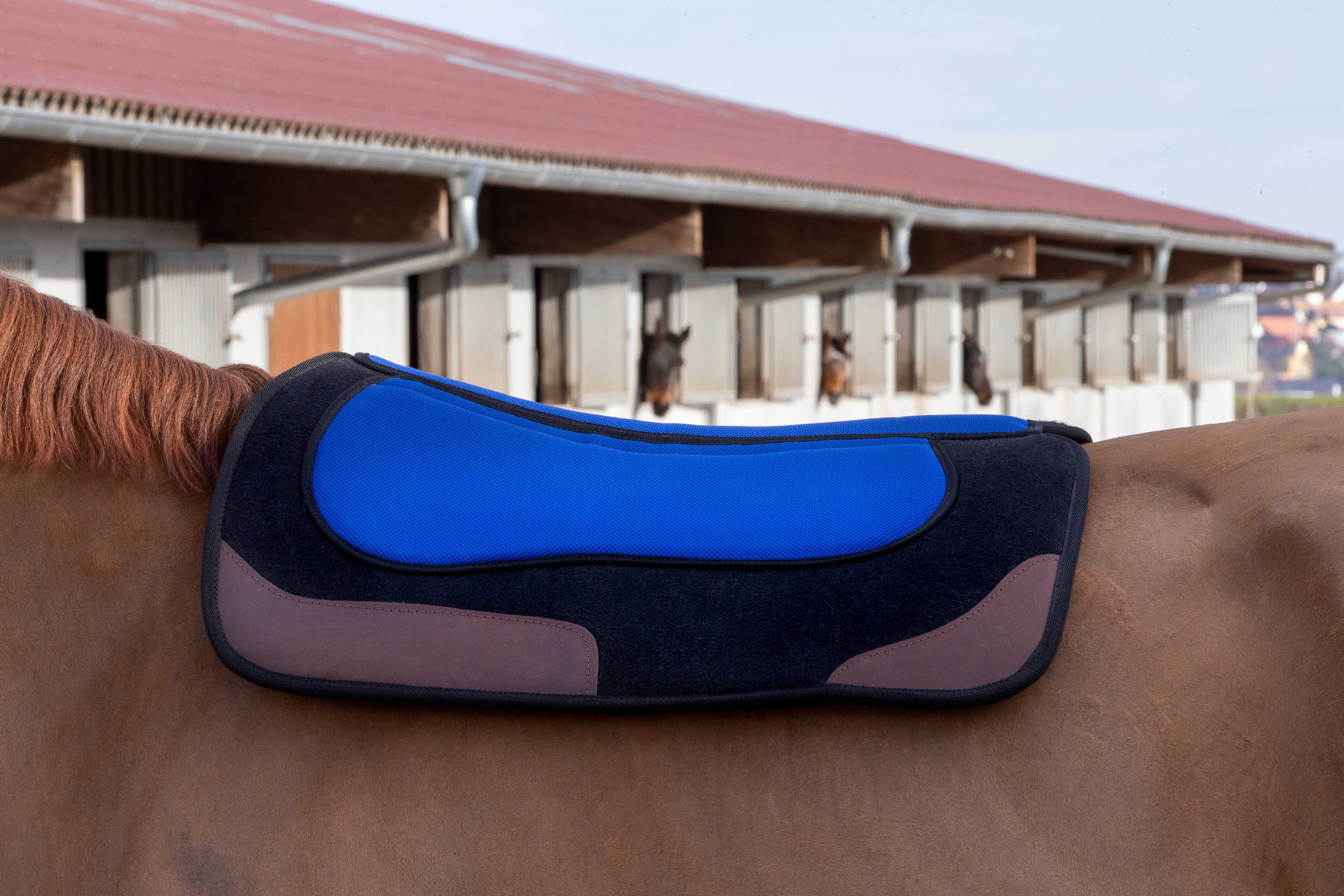 Tapete western Westride Pro Preto