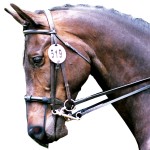 Protetor de nariz anti-incenso Equilibrium