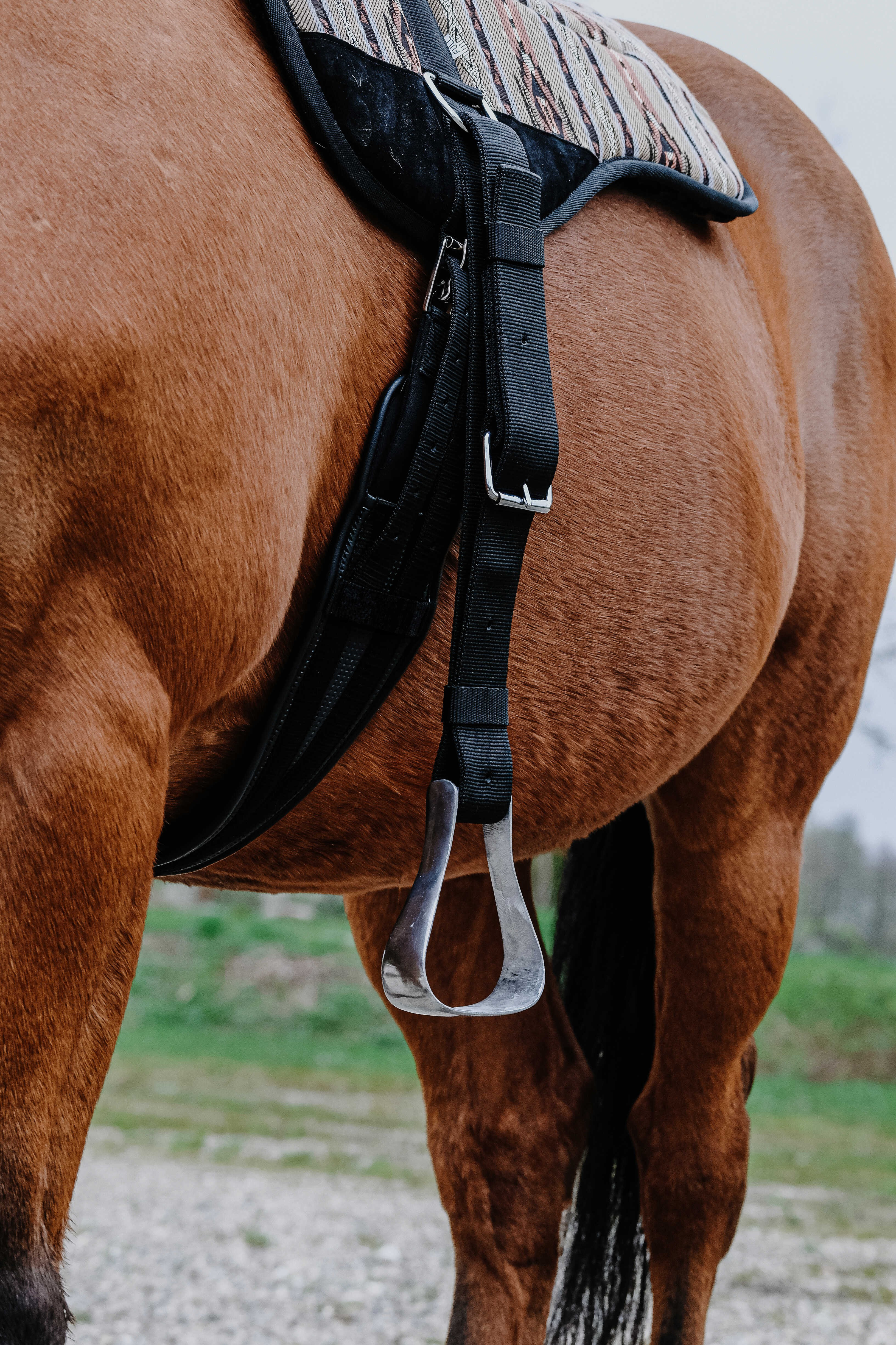 Almofada de montar sem sela Norton Kiowa