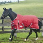 Capa Weatherbeeta ComFiTec Classic 220 g