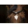 Frontal Excelsior V diamante - Preto