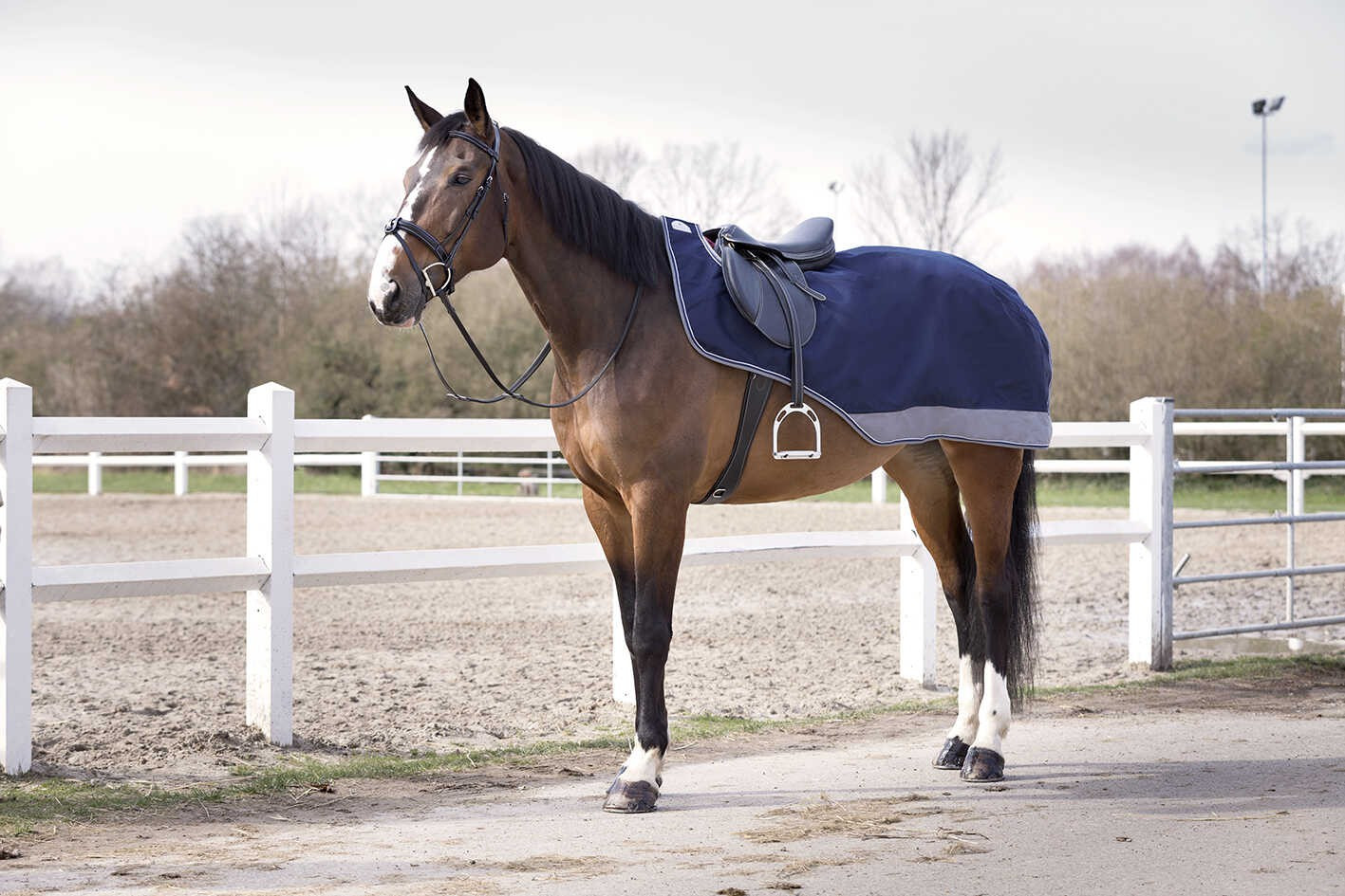 Cobre-rins Equithème Tyrex 600 D Marinho / cinza Azul Cobre-rins Equithème Tyrex 600 D Marinho / cinza Azul