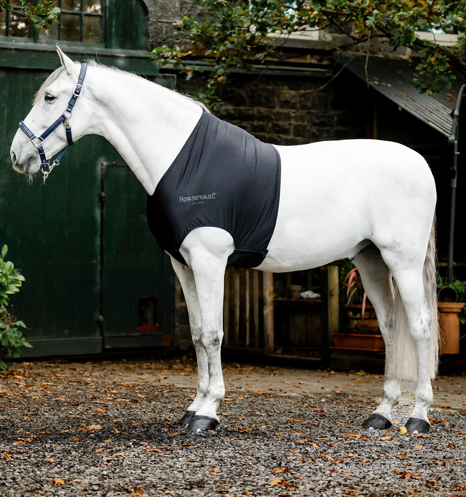 Proteção de ombro Horseware Slinky Rambo Preto