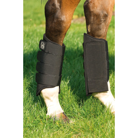 Guêtres Posteriores Norton 1680D