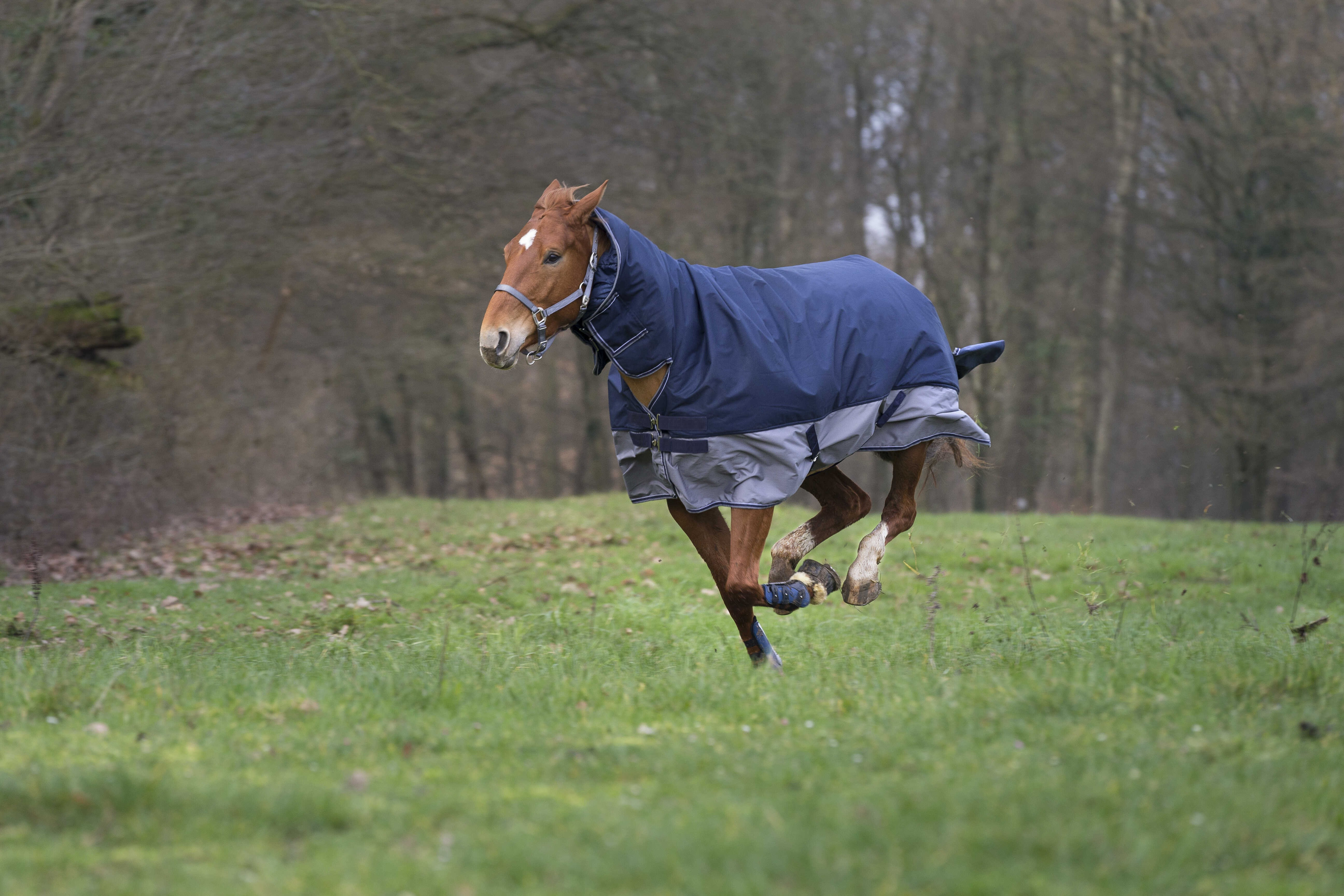 COUVERTURE Equi-Theme TYREX 600 D COMBO 200G