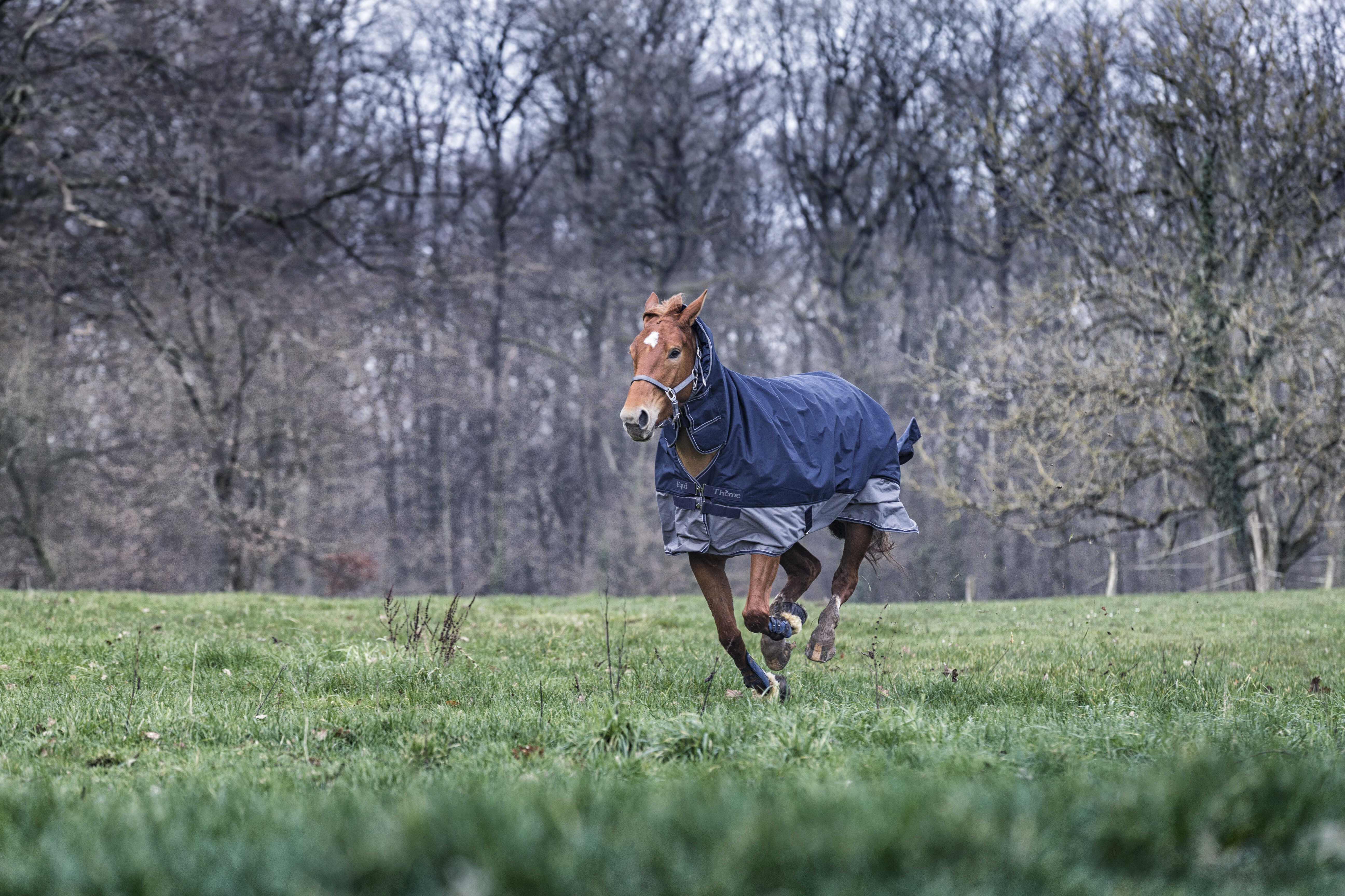 Capa Equithème Tyrex 600D Combo 350g