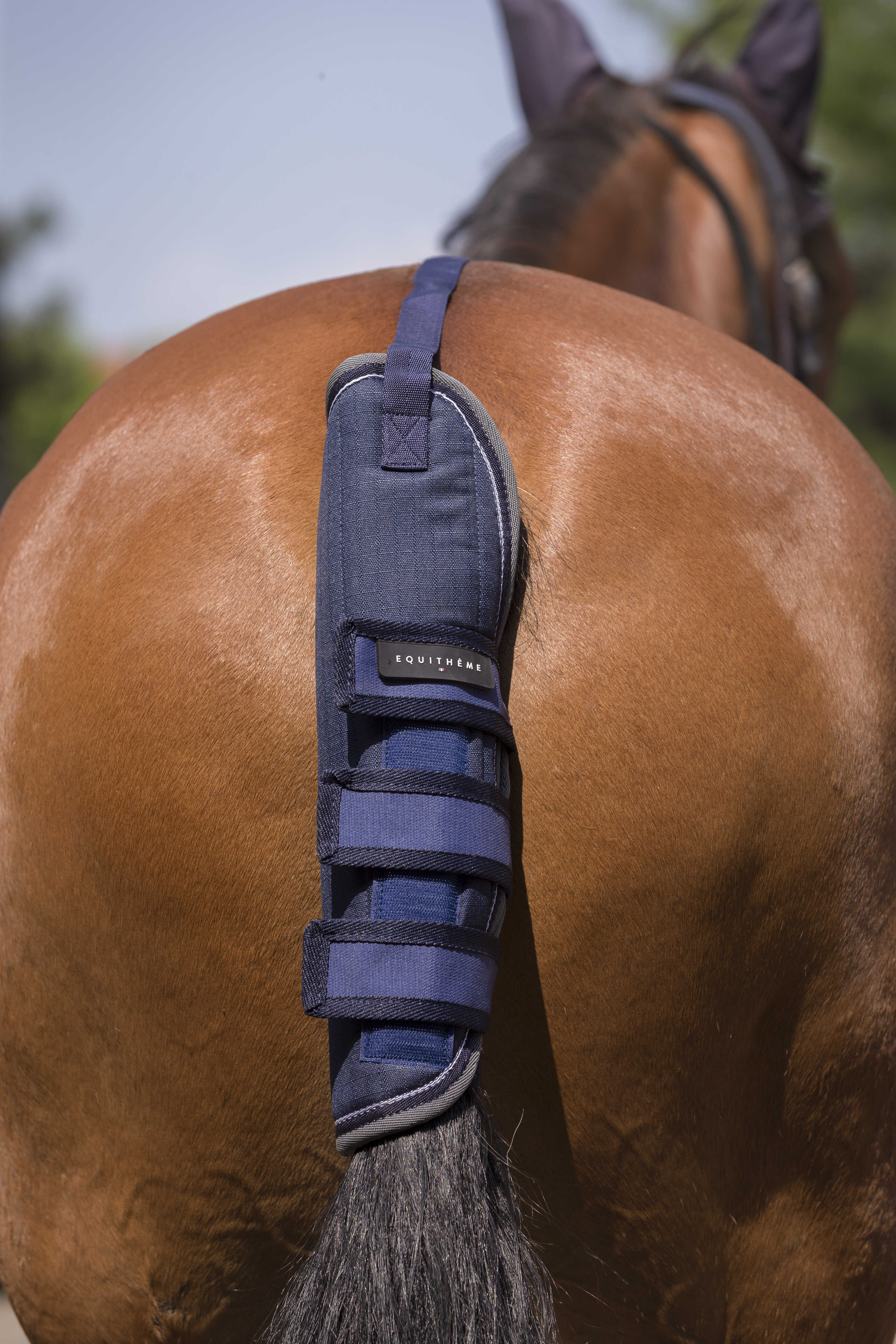 Protetor de cauda Equithème Tyrex 600 D Cinza / marrom Cinzento Protetor de cauda Equithème Tyrex 600 D Cinza / marrom Cinzento