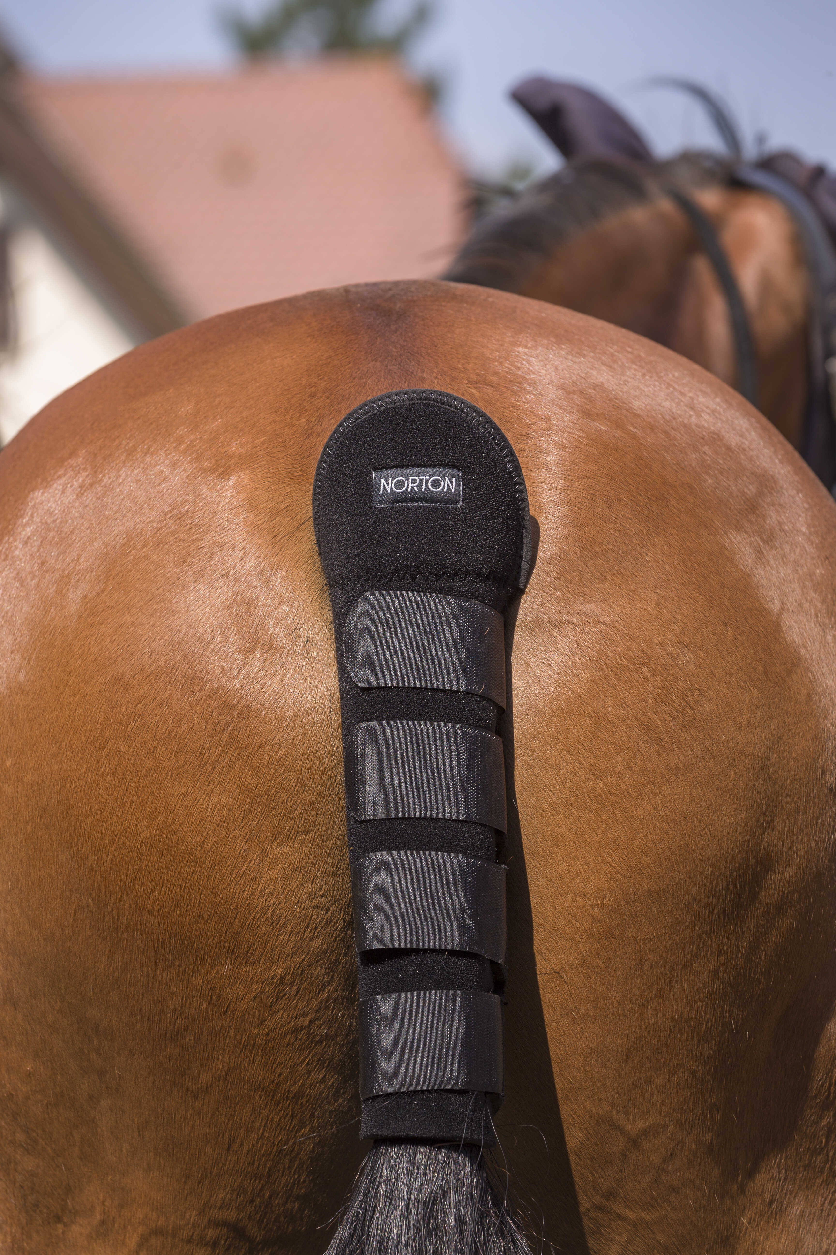 Protetor de cauda Norton Alta Proteção Chocolate Castanho