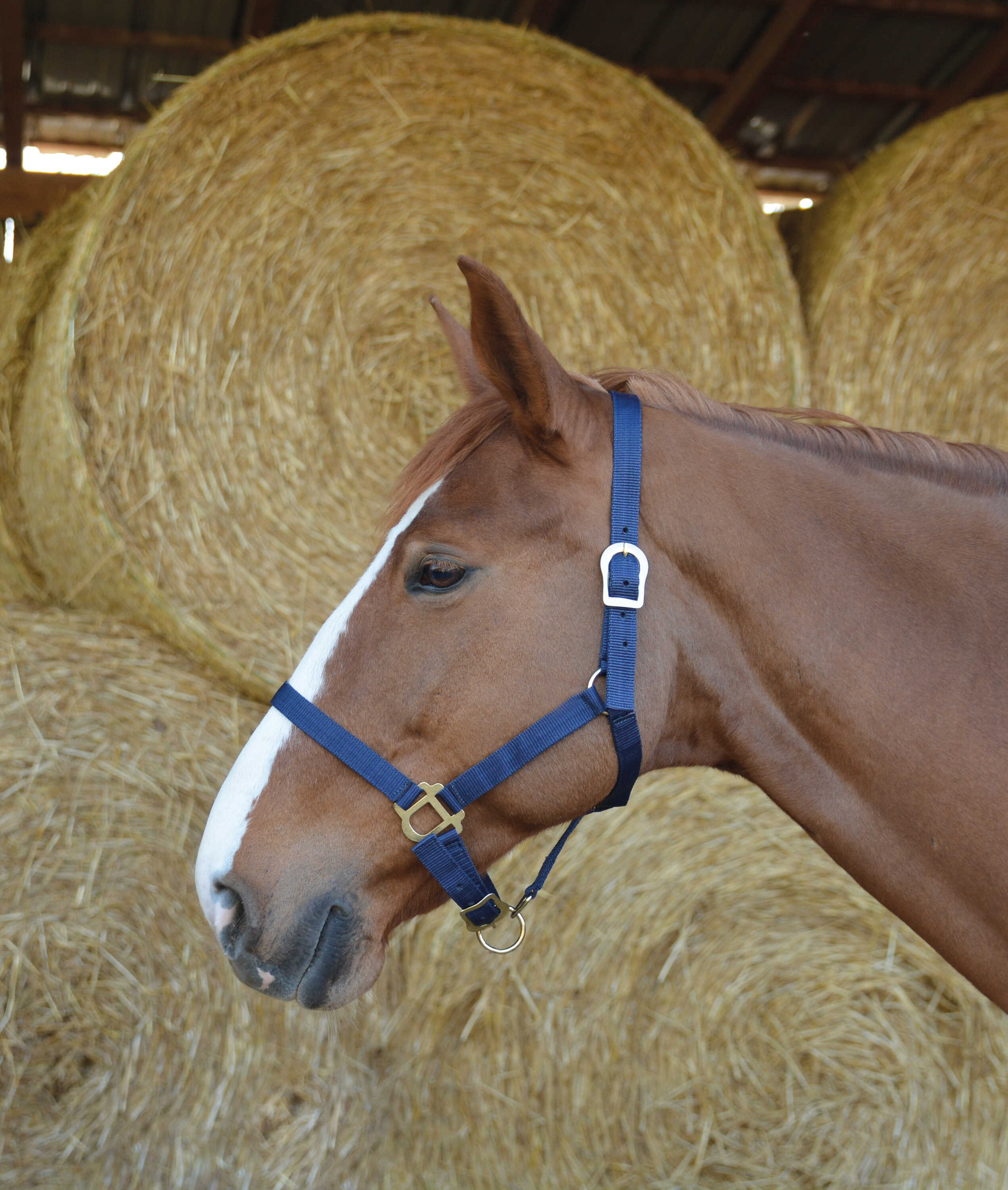 Cabeção First Azul-marinho Cabeção First Azul-marinho