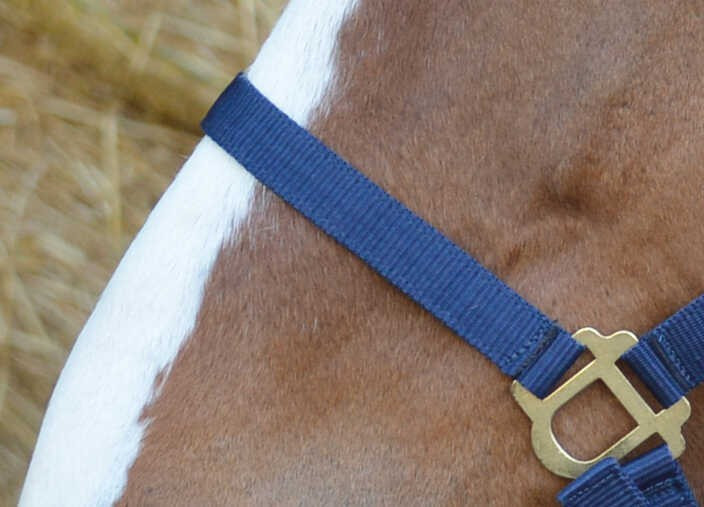 Cabeção First Azul-marinho Cabeção First Azul-marinho