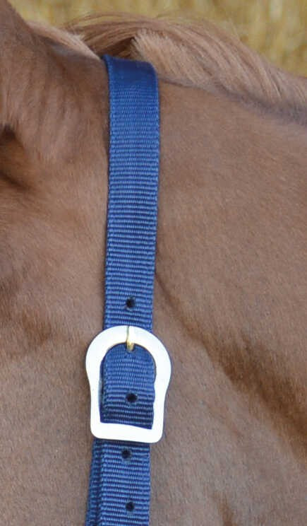 Cabeção First Azul-marinho Cabeção First Azul-marinho